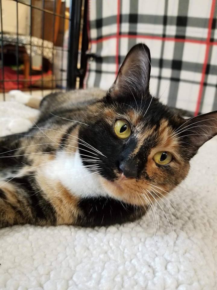 Maggie